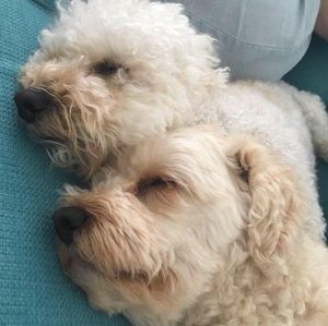 Meet your Posher, Sheree